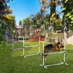 4 Piece Adjustable Dog Agility Jump Bar Set with Carry Bag, Blue - Image 10