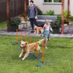 PawHut Dog Agility Training Equipment Adjustable Poles for Dog Agility Course with Carry Bag - Image 2