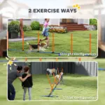 PawHut Dog Agility Training Equipment Adjustable Poles for Dog Agility Course with Carry Bag - Image 4