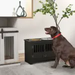 Dog Food Storage Cabinet with Bowls and Dog Feeding Station, Black - Image 10