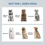 Dog Food Storage Cabinet with Bowls and Dog Feeding Station, White - Image 7