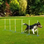 PawHut Dog Weave Pole Set, Agility Starter Kit for Outdoor Exercise Training - Image 2
