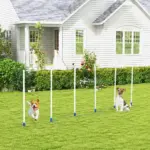 PawHut Dog Weave Pole Set, Agility Starter Kit for Outdoor Exercise Training - Image 13