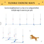 PawHut Dog Weave Pole Set, Agility Starter Kit for Outdoor Exercise Training - Image 5