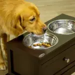 Double Elevated Dog Bowls for Large Dogs, Raised Dog Feeding Station with 2 Stainless Steel Bowls, Storage Drawer and Wood Stand for Cats, Brown - Image 7