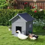 PawHut Duck Coop, Wooden Duck House with Openable Roof and Double Doors, Removable Base for 1-3 Ducks, Outdoor Small Animal House, Gray - Image 2