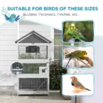Wooden Bird Aviary with Slide-Out Tray Ladder Perches for Finches Parakeets Cozy Gray - Image 6