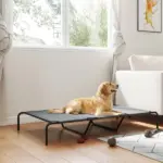 PawHut Elevated Dog Bed for Large Breeds Gray 60"L - Image 10