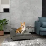 Elevated Dog Sofa Pet Bed with Storage Soft Cushion for Small Medium Dogs Gray - Image 2