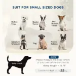 Elevated Dog Sofa Pet Bed with Storage Soft Cushion for Small Medium Dogs Gray - Image 4