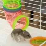 PawHut Extra Large 23" Hamster Cage with Tubes, Tunnels, Carry Handles, 5-Tier, Light Blue - Image 11