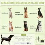 Extra Large Dog Portable Camping Tent with Carrying Bag for Beach Backyard Home in Green - Image 4