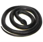52 Inch Realistic Rubber Snake Prank and Garden Decoration - Image 5