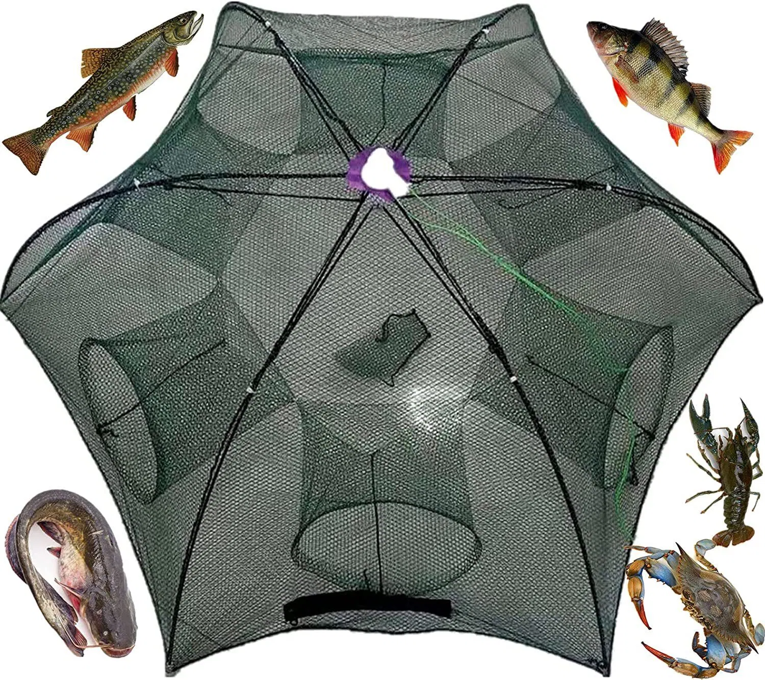 Foldable Fishing Bait Trap Net for Crab Crawdad Shrimp Minnow and Fish
