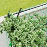 Outsunny Garden Arch Trellis, 7.3 Ft Tall Metal Plant Trellis Support with Climbing Net, Cucumber Trellis for Vegetables, Black - Image 8