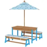 Kids Picnic Table Set with Foldable Umbrella, Removable Cushions and Boxes, Dinosaur Theme, Blue