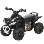 Aosom Kids Ride On Push Car 4 Wheels Music Light Foot-to-Floor Black for 18-36 Months
