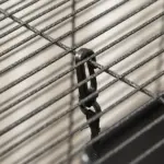 PawHut Large Metal Small Animal Cage with Hammock 4 Tiers and Removable Tray Gray Extra Space for Ferrets Chinchillas - Image 9