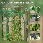 Metal Arch Trellis for Climbing Plants A-Frame with Net Outdoor Garden Green 17 x 72 x 72 - Image 4