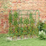 Metal Arch Trellis for Climbing Plants A-Frame with Net Outdoor Garden Green 17 x 72 x 72 - Image 10