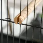 PawHut Mobile 55" Dual-Use Bird Cage Aviary for Finches Budgies with Easy Move Wheels Sleek Black - Image 9