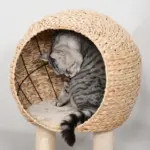 Modern Cat Tree with Sisal Scratching Post Condo and Hanging Rope 39"H, Beige - Image 8