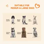Outdoor Dog Kennel 9.3x4.6 Exercise Pen with UV Protection Canopy Water-resistant for Medium Large Dogs - Image 4