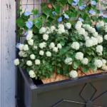 Outsunny Outdoor Planter Box Galvanized Raised Garden Bed with Trellis for Climbing Vines, 35.4" x 15.7" x 47.2", Black - Image 9