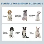 PawHut Pet Feeding Station for Medium Dogs, White, with Storage, Raised Bowls, Adjustable Panel, Hooks - Image 4