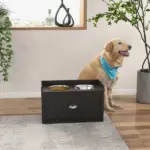 Pet Feeding Station Pet Dish Bowl Set with Storage, 2 Elevated Dog Bowls for Large Sized Dogs, Black - Image 10