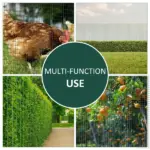 PVC Coated Steel Chicken Rabbit Mesh Fencing Wire Garden Galvanized Fence Border - Image 4