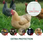 PVC Coated Steel Chicken Rabbit Mesh Fencing Wire Garden Galvanized Fence Border - Image 6