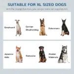 Raised Dog Feeding Station with 2 Stainless Steel Bowls Storage Large Pets Dark Brown - Image 4