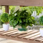 Outsunny Raised Garden Bed 49x21x34 with Grow Grids and Storage Shelf on Wheels Brown - Image 9