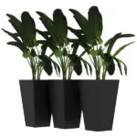 Outsunny Rattan-Style Plastic Planters with Drainage Holes, Set of 3 - 24 Inch Height, Black - Image 11
