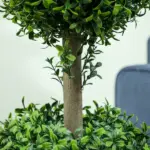 HOMCOM Set of 2 Artificial Ball Boxwood Topiary Trees, Fake Plants in Pot for Indoor Outdoor Living Room Green - Image 9