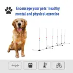 Sturdy Dog Weaves Poles Pet Speed and Agility Equipment Dogs Obstacle Outdoor with Storage Bag - Image 6