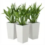 Outsunny Tall Planters for Outdoor Plants Set of 3, 24 In Taper Planters with Drainage Holes, Rattan Decor Plant Pots, White