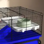 Two-Story Small Animal Cage Removable from Stand, Pet Habitat with Shelf and Wheels, 33" x 18.5" x 35", Blue - Image 9