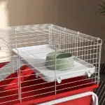 Two-Story Small Animal Cage Removable from Stand, Pet Habitat with Shelf and Wheels, 39" x 20.5" x 36.5", Red - Image 9