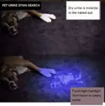 100 LED 395nm UV Blacklight Flashlight for Inspection - Image 16