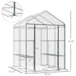 Outsunny Walk-in Greenhouse, 5' x 5' x 6', Hot House with 3-Tier Shelving, Roll-Up Door, for Outdoor and Garden - Image 3