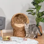 Wicker Elevated Cat Bed with Soft Cushion Brown Cat Egg Chair Shape Indoor - Image 2