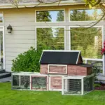 Wooden Chicken Coop 114 Inch Large Hen House Poultry Cage Nesting Box Outdoor Runs Removable Tray Ramp Cinnamon Brown - Image 2
