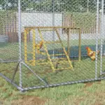 Wooden Chicken Coop Accessory, Activity Play with Swing Set, Multiple Perches, Hen Ladder, Yellow Poultry Care - Image 2