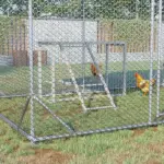 Wooden Chicken Swing Set Gray Activity Center for 3-4 Chickens with Multiple Roosting Perches for Resting Play - Image 2