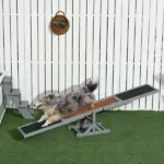 PawHut Wooden Dog Agility Seesaw for Dog Training Exercise, 71" L x 12" W x 12" H, Gray - Image 10