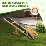 Wooden Dog Agility Seesaw for Training and Exercise, Yellow - Image 6