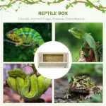 31.5 Inch Wooden Reptile Terrarium with Sliding Glass Door and Mesh Ventilation - Image 4
