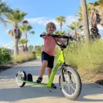 Aosom Youth Scooter with Adjustable Handlebar, Front and Rear Dual Brakes and Inflatable Wheels, for Kids 5+, Green - Image 2